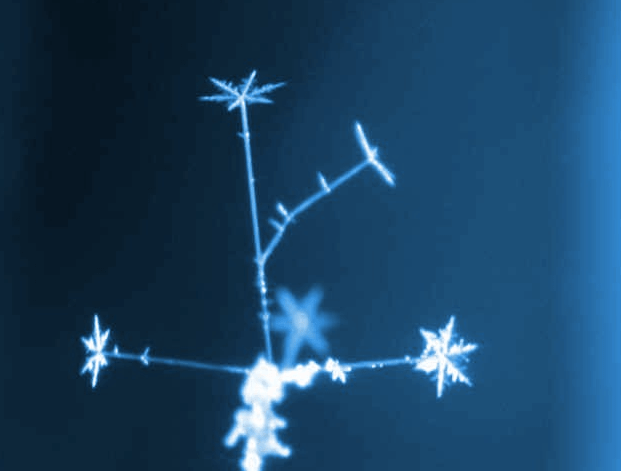 http://www.its.caltech.edu/~atomic/snowcrystals/designer1/stars1.jpg