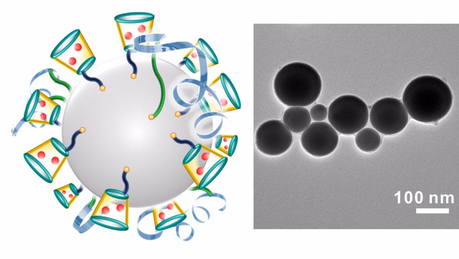 Left: Schematic illustration of liquid-metal ‘nano-terminators.’Right: A representative TEM (Transmission electron microscopy) image of liquid-metal nano-terminators. Credit: Yue Lu