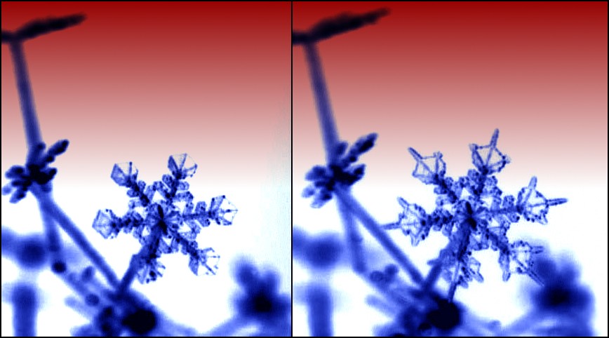 Image credit: Caltech