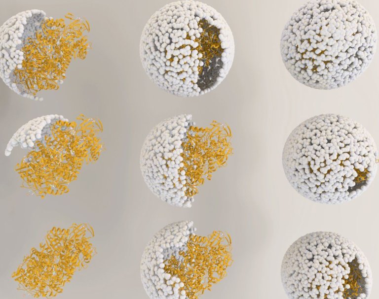 A ‘Nano-Reactor’ May Soon Be Producing Hydrogen Biofuel