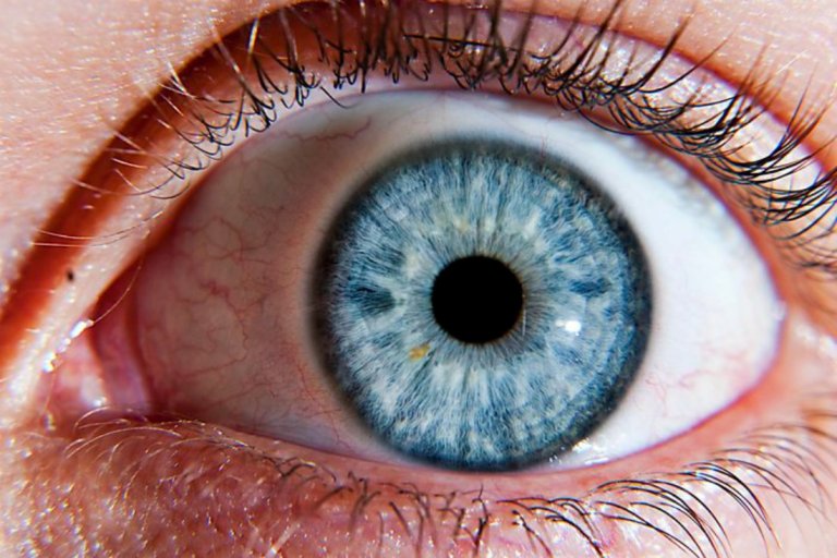 CRISPR Gene Editing Used to Repair Blindness-Causing Genetic Defect