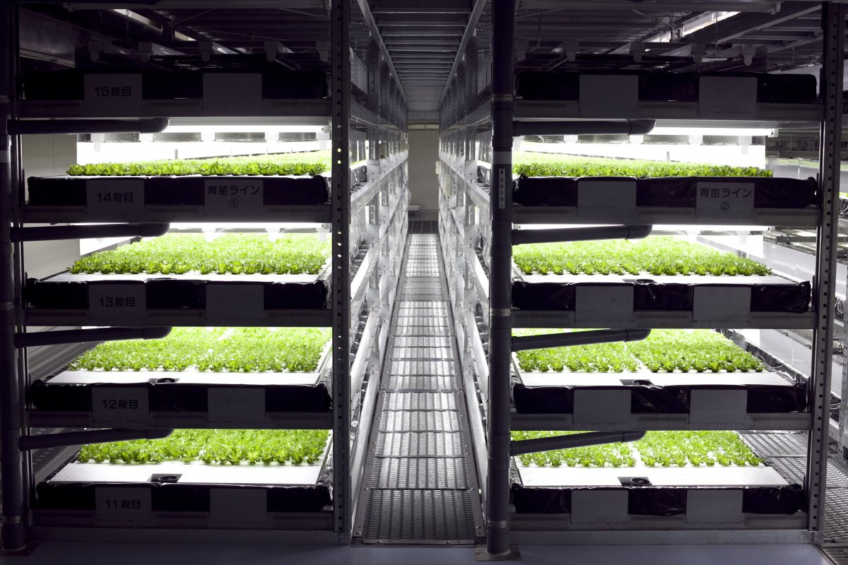 The vertical farm at Spread. Image Credit: Spread