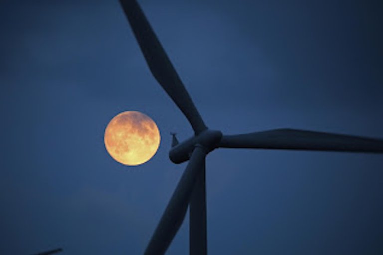 World Record: Nearly Half of Denmark’s Total Electricity Now Comes from Wind Energy