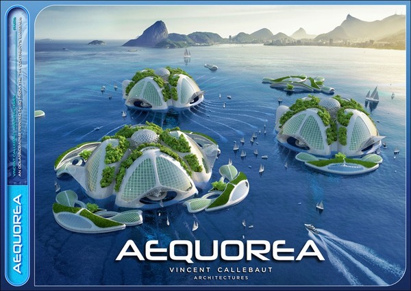 Aequorea