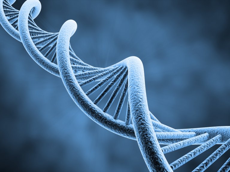 Researchers Observe Grafted Plants Sharing Genomic Information