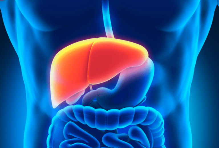 Scientists Produce the Most Realistic Lab-Grown Liver Tissue Yet