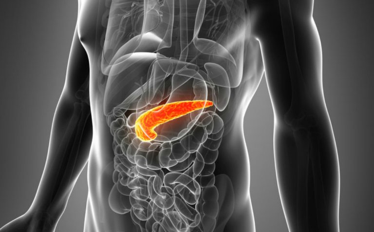 A New Way to Treat Diabetes: Artificial Pancreas Trials Begin in the US