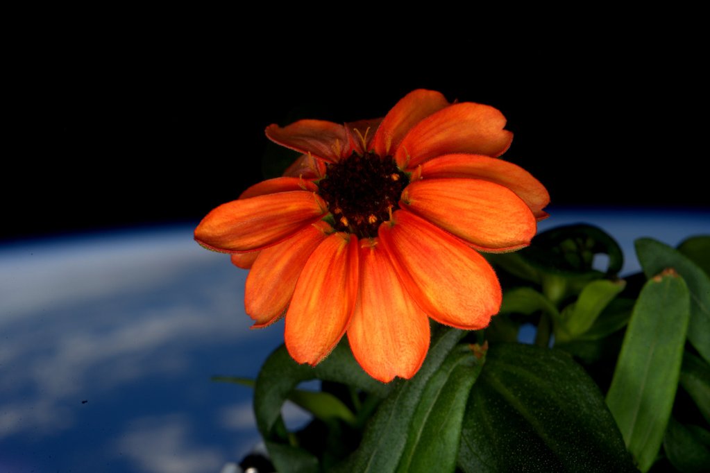 space2