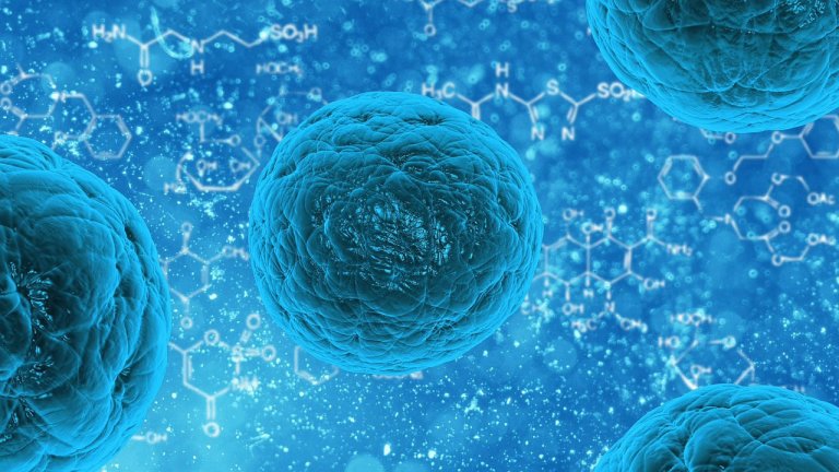 Scientists Convert Cells into Stem Cells by Squeezing Them
