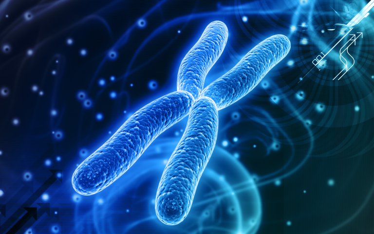 How Chromosome Extensions “Turn Back the Aging Clock”