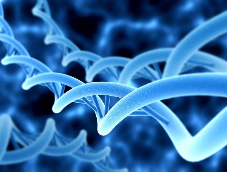 This Company Maps Your Genetics to Tell You How You Can Get Stronger