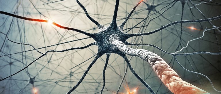 Scientists Begin Work on Reverse-Engineering the Brain