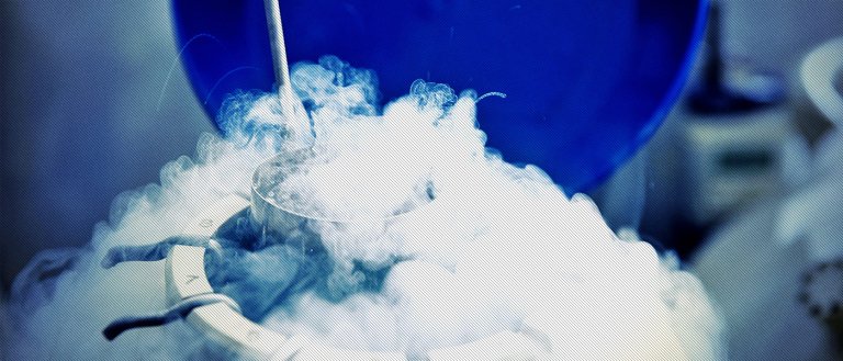 Can Our Minds Live Forever? New Experiments Aim to Make it Happen