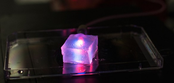 Capillarygelweb1-585x282