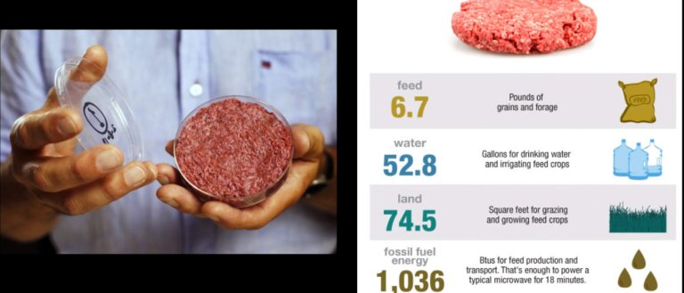 Could a Fungus be the Answer to Giving Lab-Grown Meat Texture?