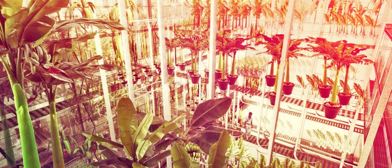 The Future of Food Security is in the Hands of Technology