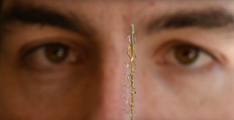 Breakthrough Bionic Spinal Cord Lets You Move Robotic Limbs With Your Thoughts