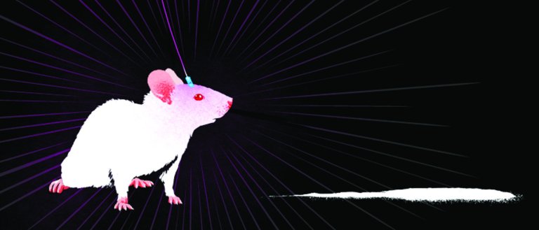 New Study Implies Memories Can Be Rewritten Using Optogenetics