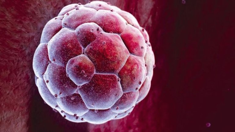 Full Genome Sequencing is Now Available…And Affordable