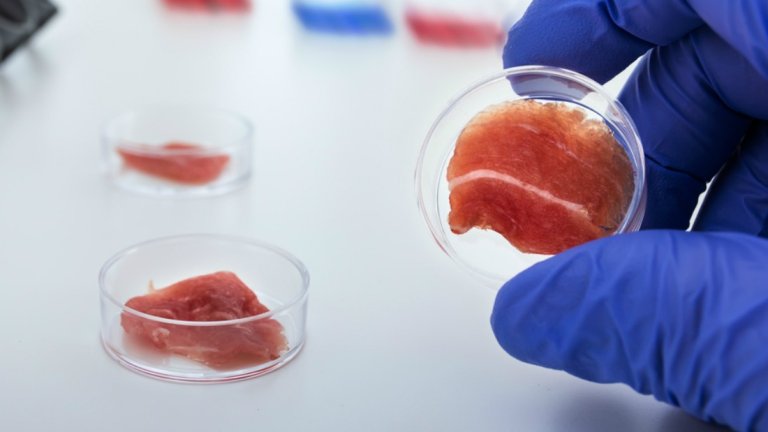 We Could Be Eating Lab-Grown Pork in the Next Five Years