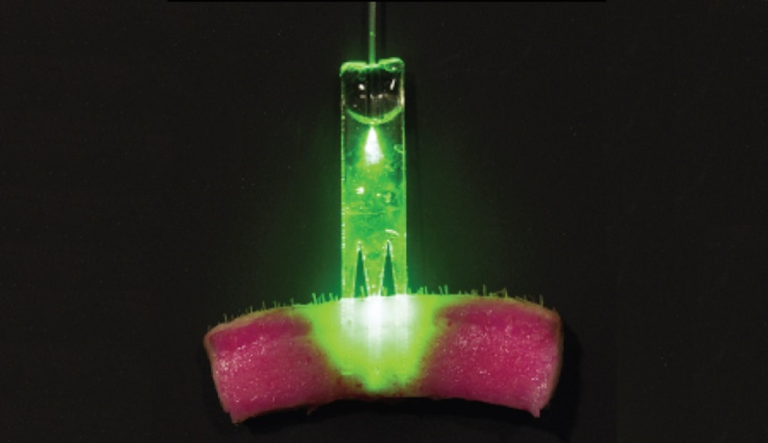 Now, Scientists Can Suture Wounds with Lasers