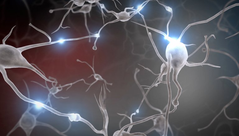 Hacking Intelligence: This Company Wants to Put a Computer in Your Brain