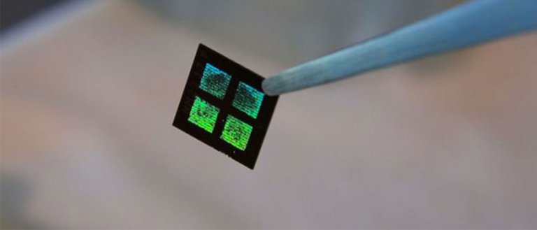Part Nano-Tech, Part Living Cells: Scientists Build A First-Ever Artificial Kidney