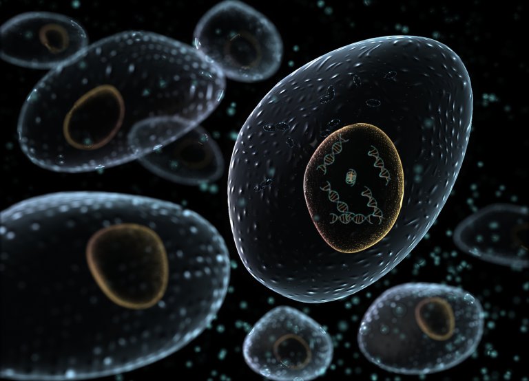 We May Have Found the “Achilles Heel” of Cancer
