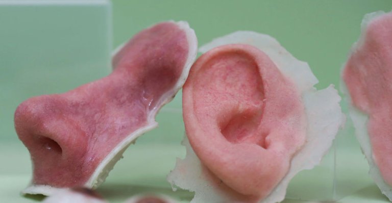 Scientists 3D Print Cartilage Using an “ink” Composed of Human Cells