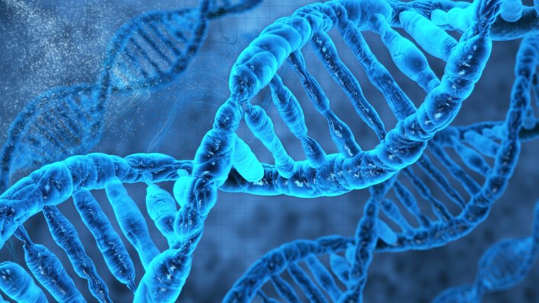 This Newly Made ‘Synthetic Life’ Is the Simplest Living Organism Ever