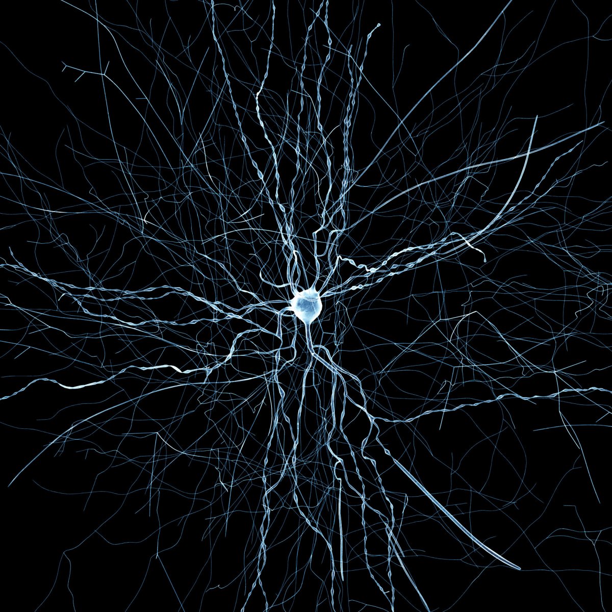 Bluestone Neuron Virtual Neurons Have Been Created by the Blue Brain Project