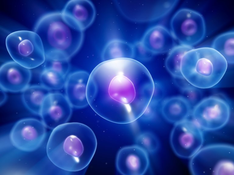 Novel Treatment Extends the Life of Organisms by 37%