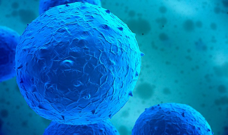 We Just Discovered a New Type of Stem Cell