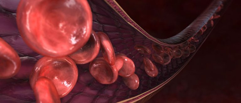We Can Now Target Diseases by Mimicking Blood Vessels