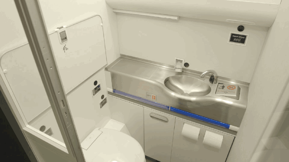 The lavatory in action Credit:Boeing
