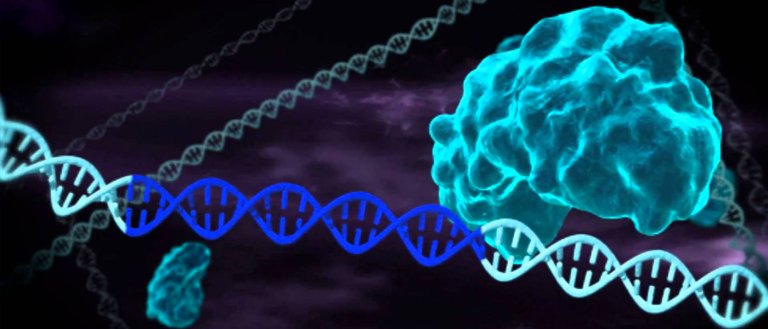 Scientists Unveil A Novel Genome Editing Technique Similar To CRISPR