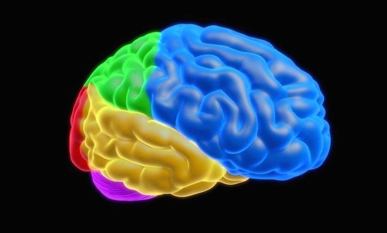 Researchers Are Studying How They Can Achieve Matrix-Level Immersion in Virtual Reality