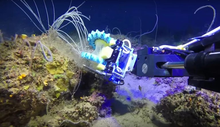 Soft Robotics Allows Scientists to Reach Out and “Touch” Sealife