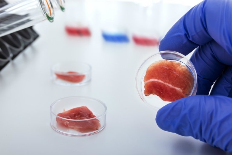 Get Ready for Groceries Grown in a Test-Tube