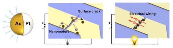 Illustration of gold-platinum "Janus particles" self-assembling to repair a circuitry break. Credit: Wang et al./Nano Letters