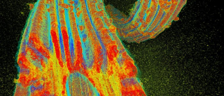 Uranium From Seawater Could Keep Our Lights On for 13,000 Years