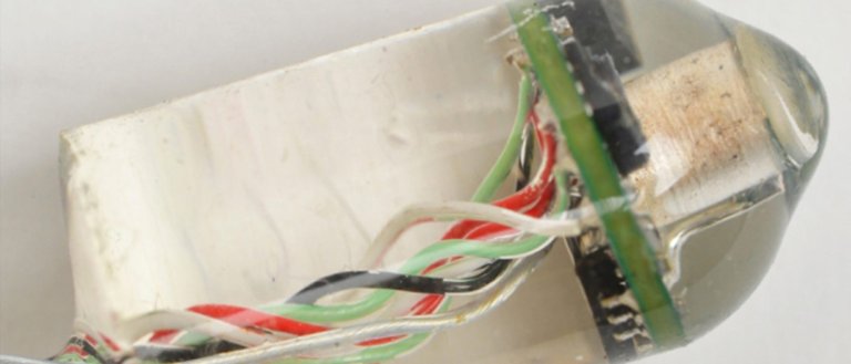 Ingestible Sensor Can Monitor Vital Signs From Inside Your Gut