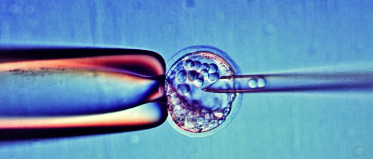 Scientists Successfully Genetically Modify Human Embryos Against HIV
