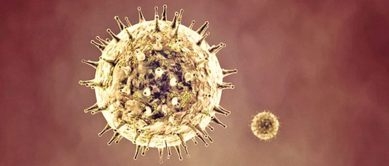 Scientists Use Nanoparticles to Create a ‘Universal Treatment’ for Allergies