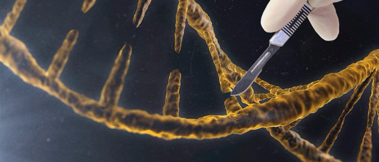 Japan Okays Gene Editing Using Fertilized Human Egg