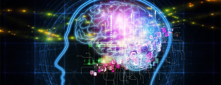 Facebook’s Artificial Intelligence Can Translate Words into Images, and Vice Versa