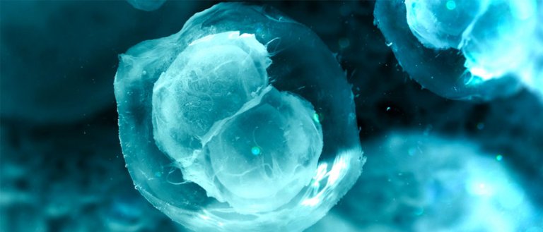 Infertile Mice Give Birth—Thanks to 3D Printed Ovaries