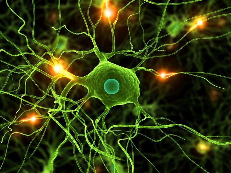 New Test for Parkinson’s Disease Can Lead to Earlier Diagnosis and Treatment