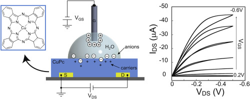 A schematic of the electronics of the biosensor. Credit: Organic Electronics