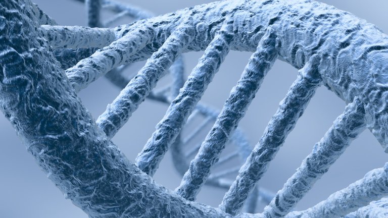 Harvard Scientists Hold Secret Meeting Aimed at Creating a Synthetic Human Genome